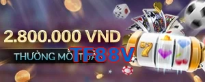 TF88V