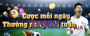 TF88V